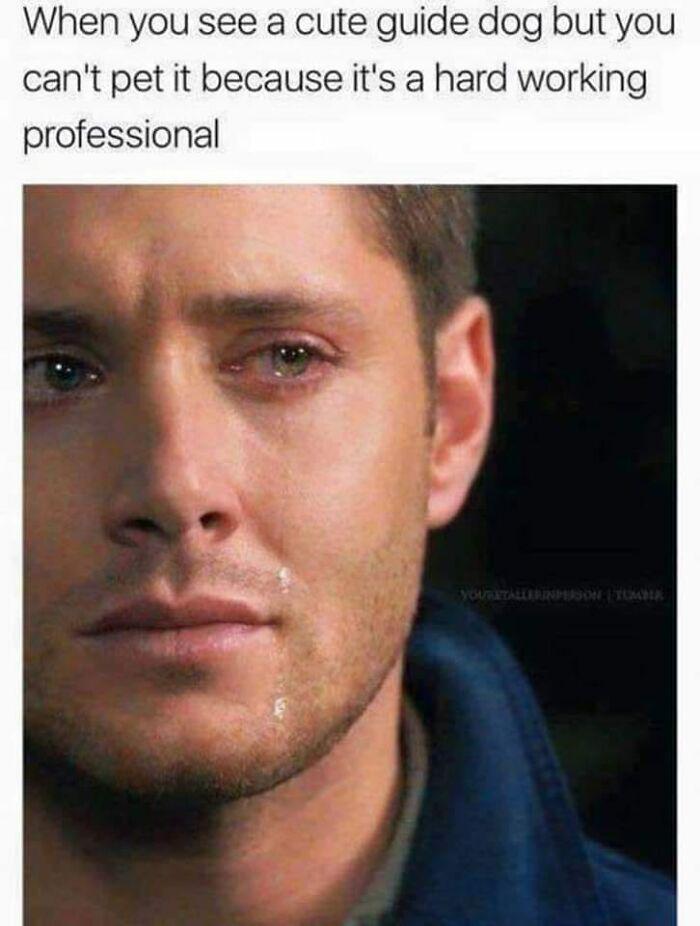 Meme by kronk