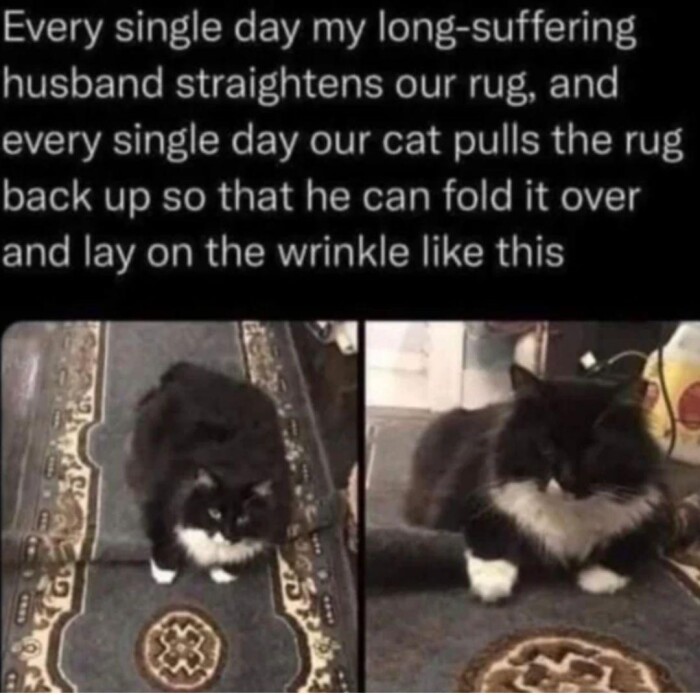 Meme by gargoyle