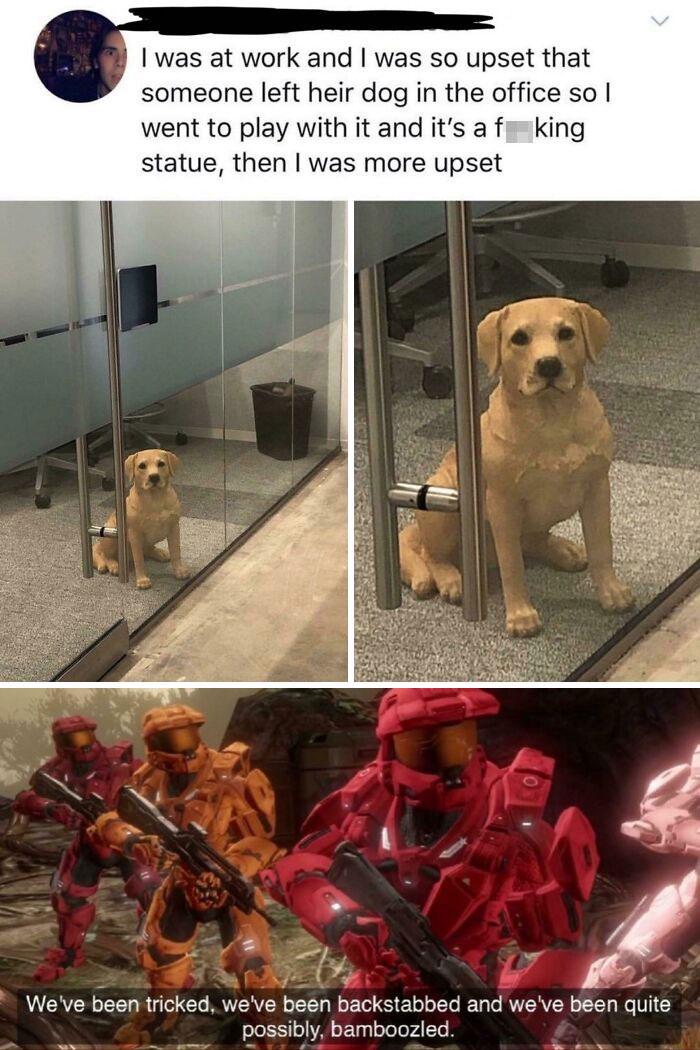 Meme by wholesomedoggos