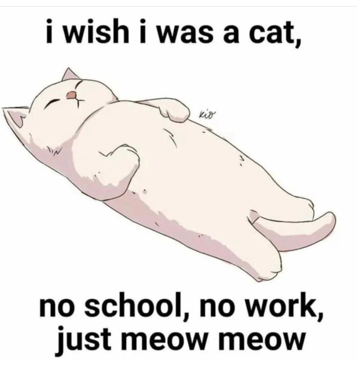 Meme by gargoyle
