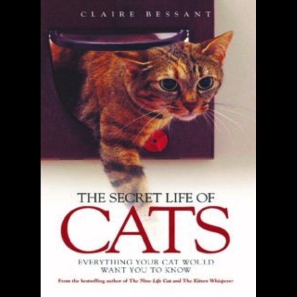 Meme by catsoncatnip
