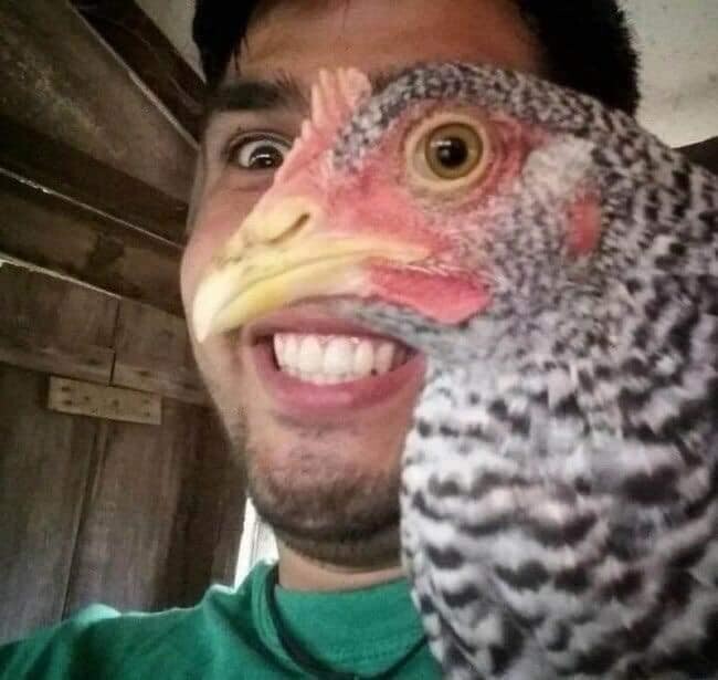 Upload the Funniest Photo You’ve Ever Taken By Accident