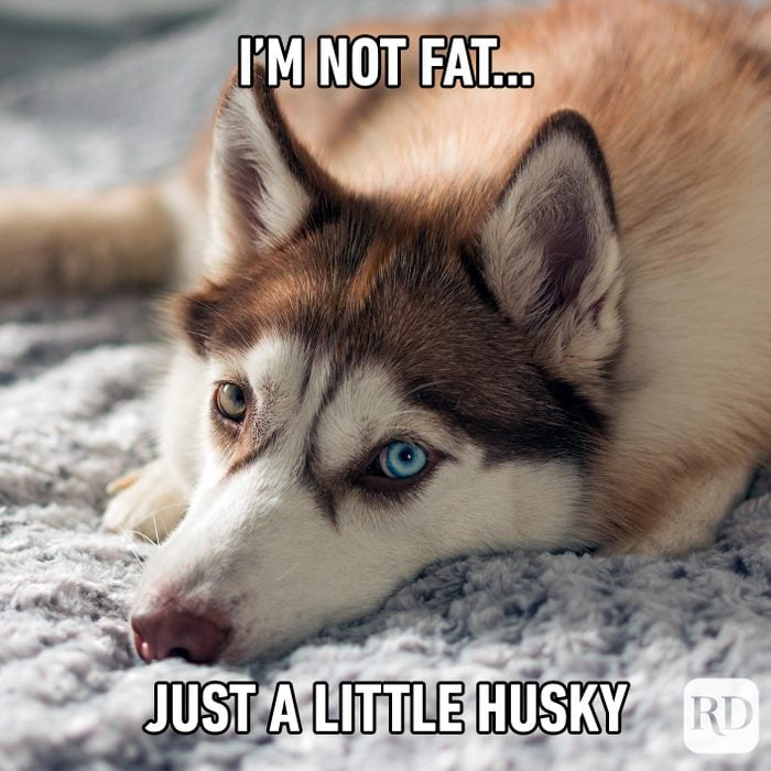 Meme by pupperdoggo