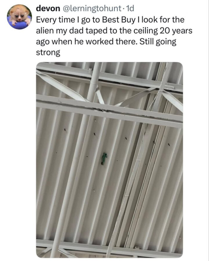 devon Every time I go to Best Buy look for the alien my dad taped ceiling