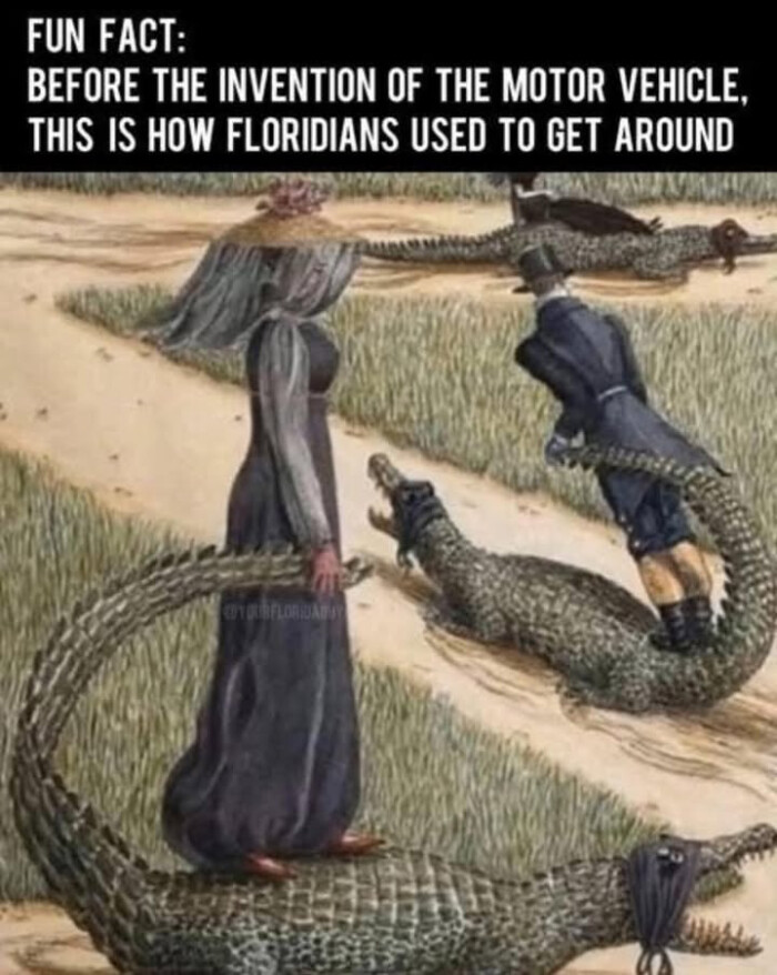 FUN FACT: BEFORE THE INVENTION OF MOTOR VEHICLE, THIS IS HOW FLORIDIANS USED TO GET AROUND