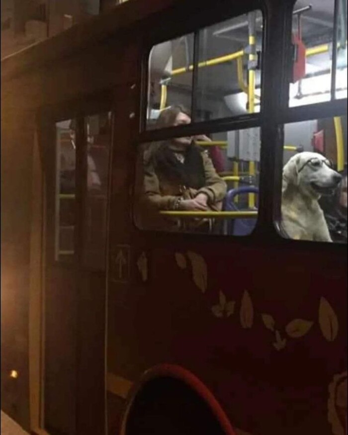 Upload the Funniest Photo You’ve Ever Taken By Accident