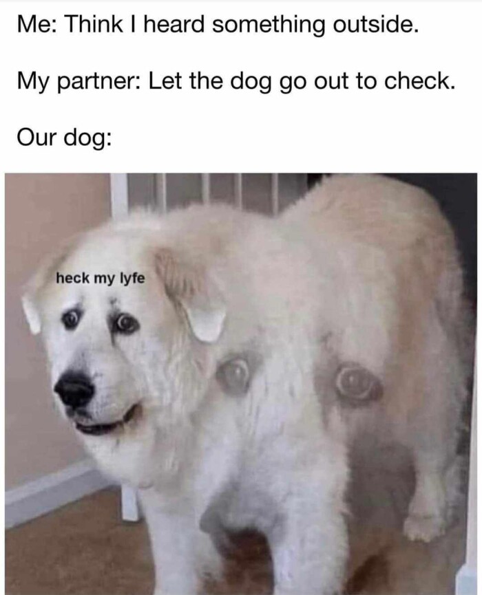 Meme by theworstoftumblr