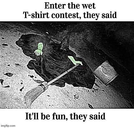 Enter the wet T-shirt contest, they said It'll be fun, imgflip.com