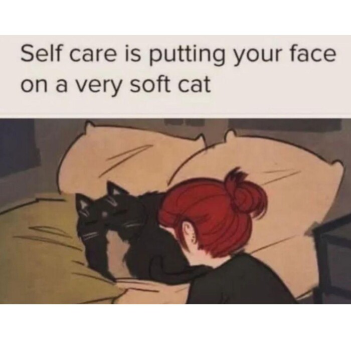 Meme by postyourcats