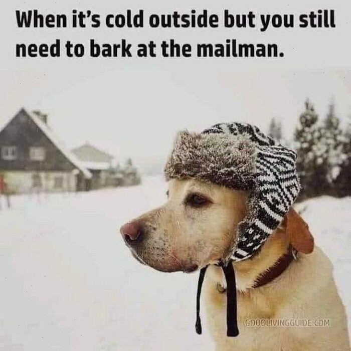 Meme by pupperdoggo