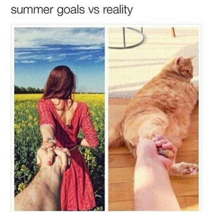 summer goals vs reality