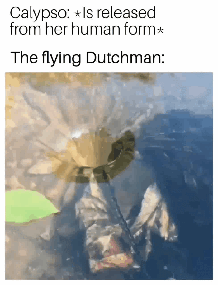 Calypso: * Is released from her human form* The flying Dutchman: