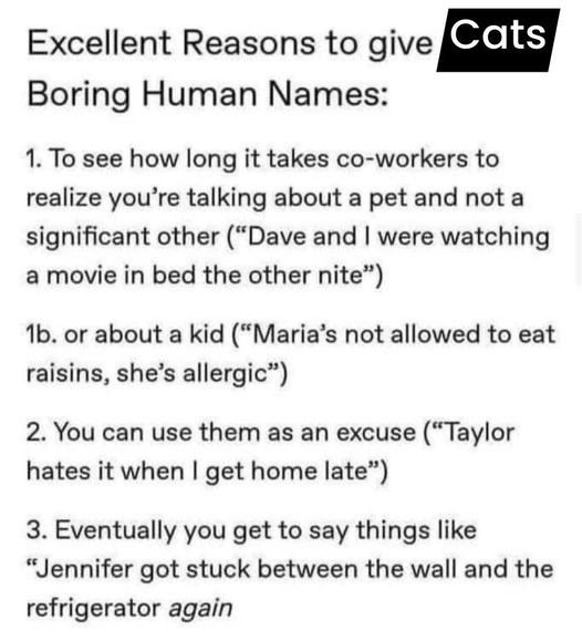 Meme by disneymemes