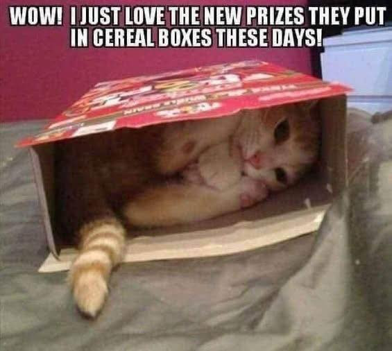 WOW! JUST LOVE THE NEW PRIZES THEY PUT IN CEREAL BOXES THESE DAYS!