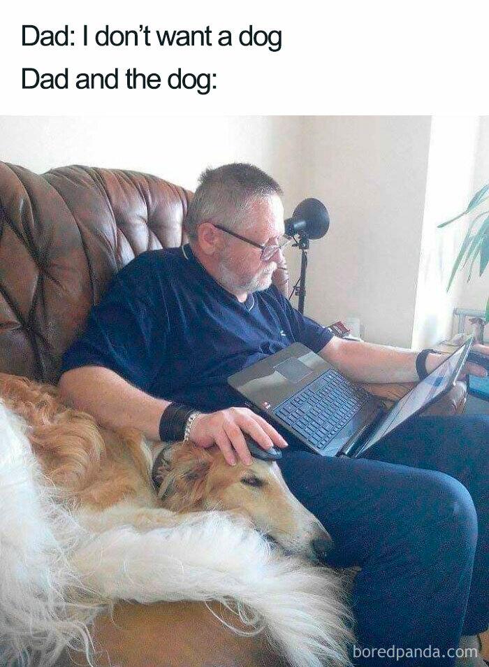 Meme by wholesomedoggos