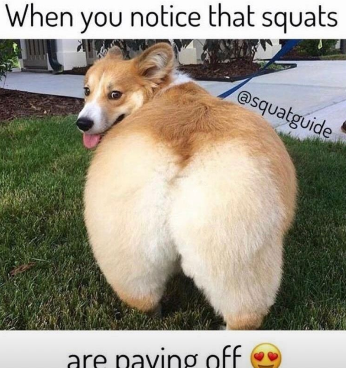 When you notice that squats are pavino off