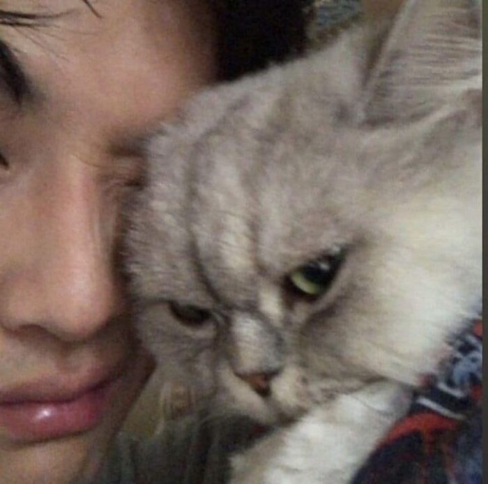 Upload a Picture That Screams “Zero Context Needed”