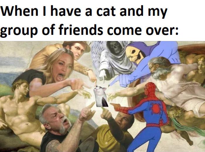 When I have a cat and my group of friends come over: