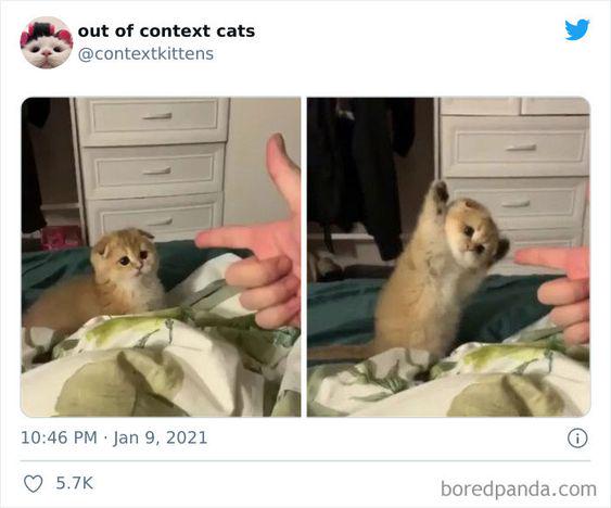 Meme by disneymemes