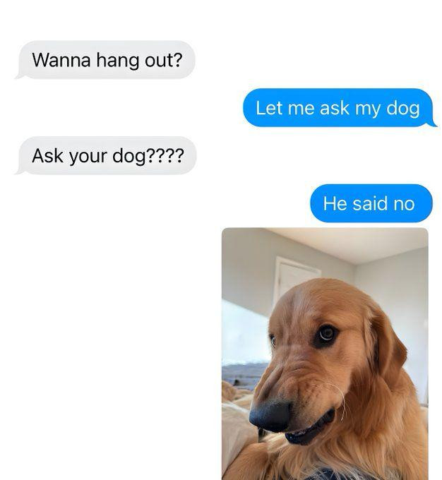 Wanna hang out? Ask your dog???? Let me ask my dog He said no