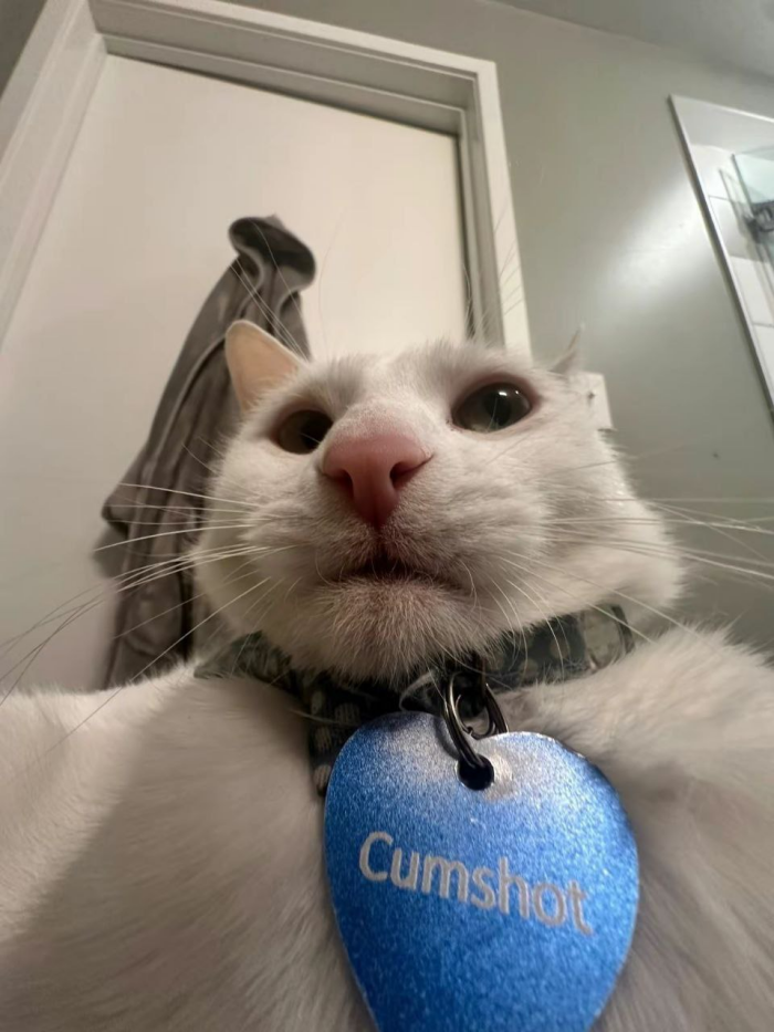 Cumshion