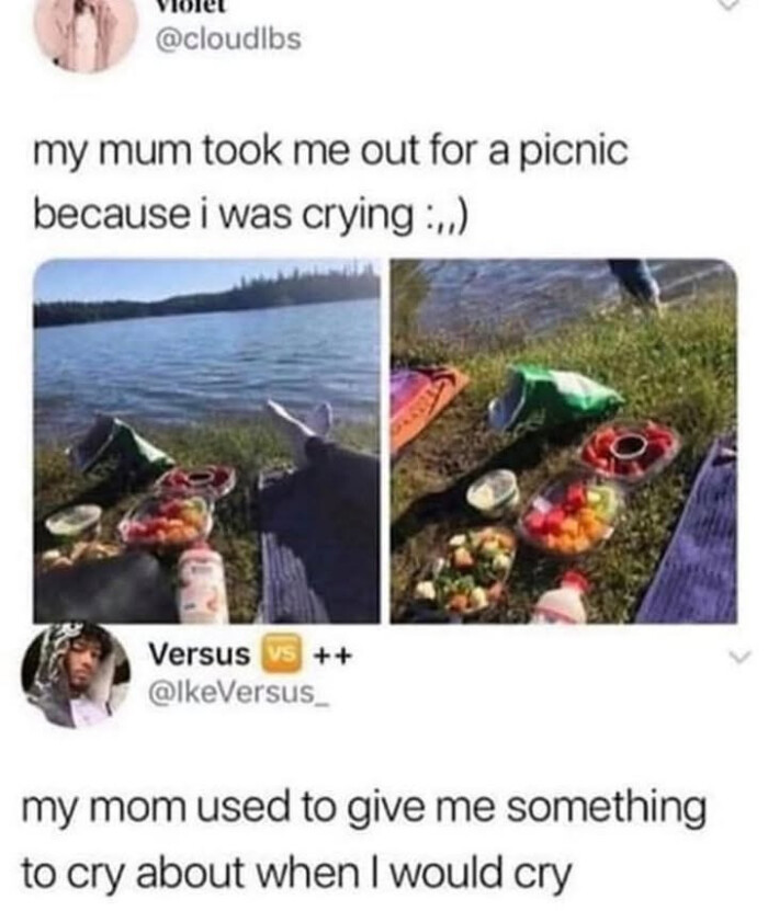my mum took me out for a picnic because i was crying