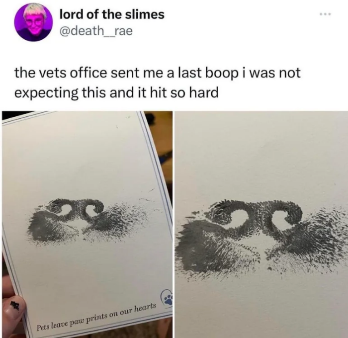 Meme by doge