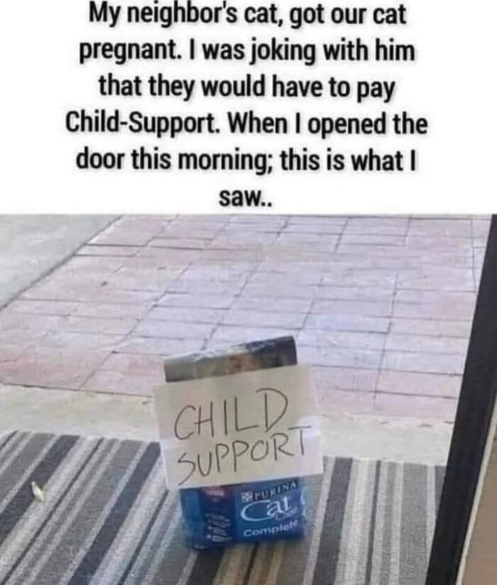 got our cat pregnant. I was joking with him that they would have to pay Child-Support. When opened the door this morning; is what saw.. CHILD. SUPPORT BLURINA al Complet