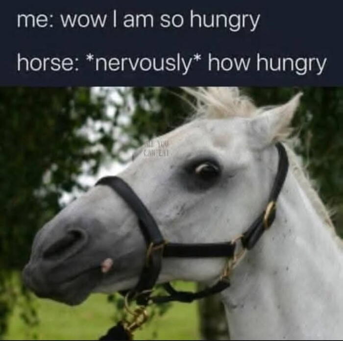 Meme by doge
