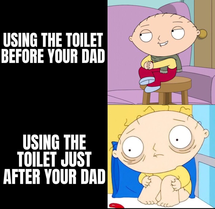 USING THE TOILET BEFORE YOUR DAD JUST AFTER