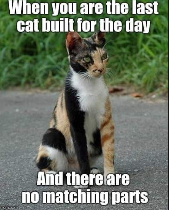 Meme by catsoncatnip