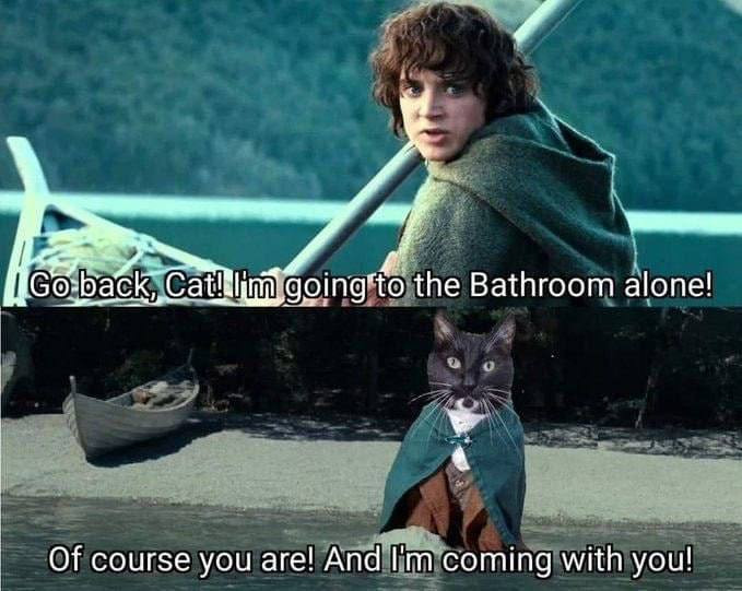 [Go back, Catl I im going to the Bathroom alone! Of course you are! And In coming with you!