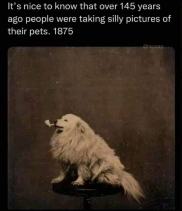 It's nice to know that over 145 years ago people were taking silly pictures of their pets. 1875