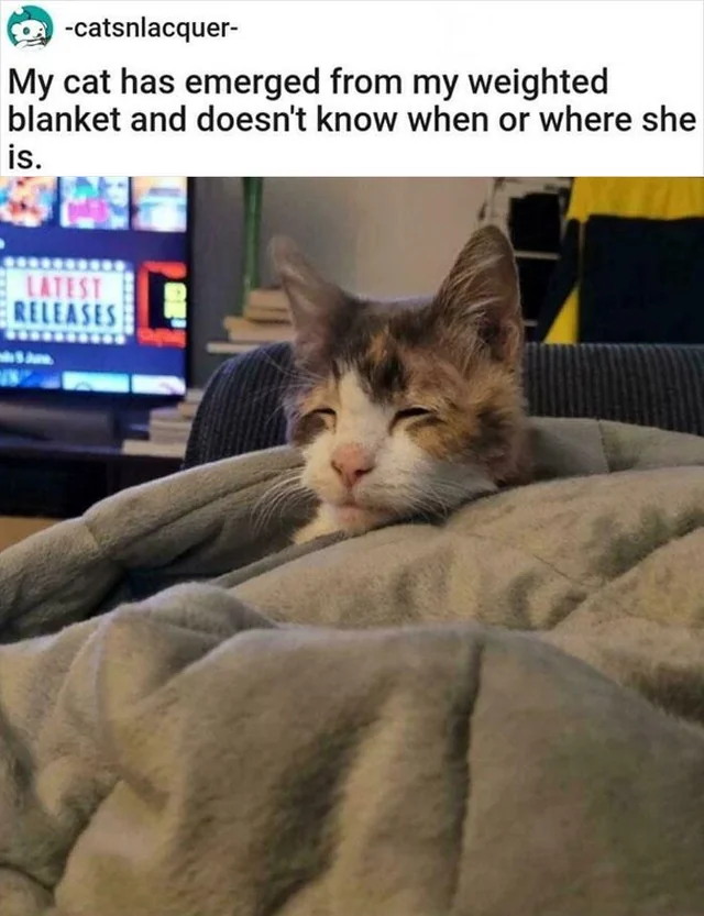 Meme by disneymemes