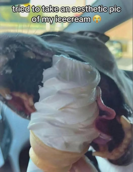 Meme by kronk