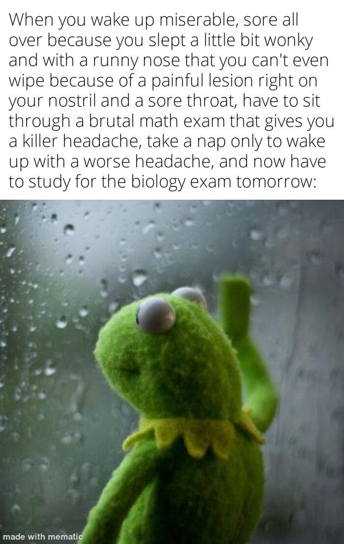 Meme by listables