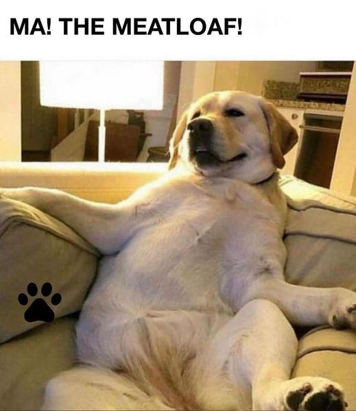 Meme by wholesomedoggos