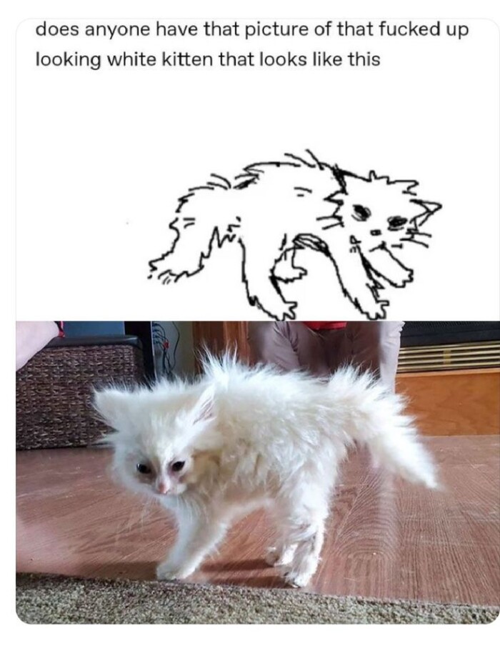 Meme by disneymemes