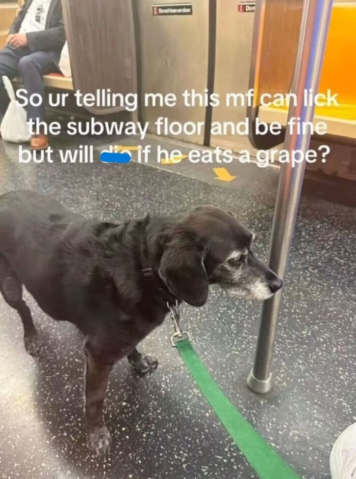 Meme by straya