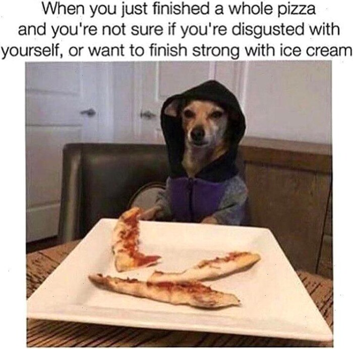 Meme by wholesomedoggos