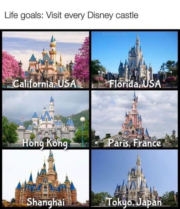 Show Us Your Most Magical Disney Park Photo