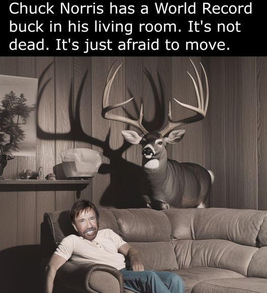 Chuck Norris has a World Record buck in his living room. It's not dead. just afraid to move.