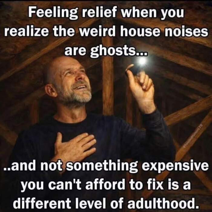 Feeling relief when you realize the weird house noises are ghosts... and not something expensive can't afford to fix is a different level of adulthood.