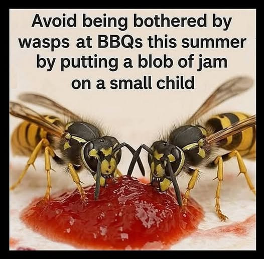 Avoid being bothered by wasps at BBQs this summer putting a blob of jam on small child