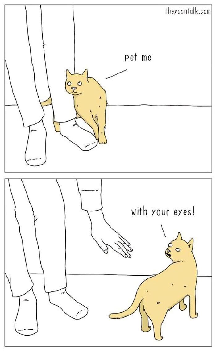 theycantalk.com pet me with your eyes!