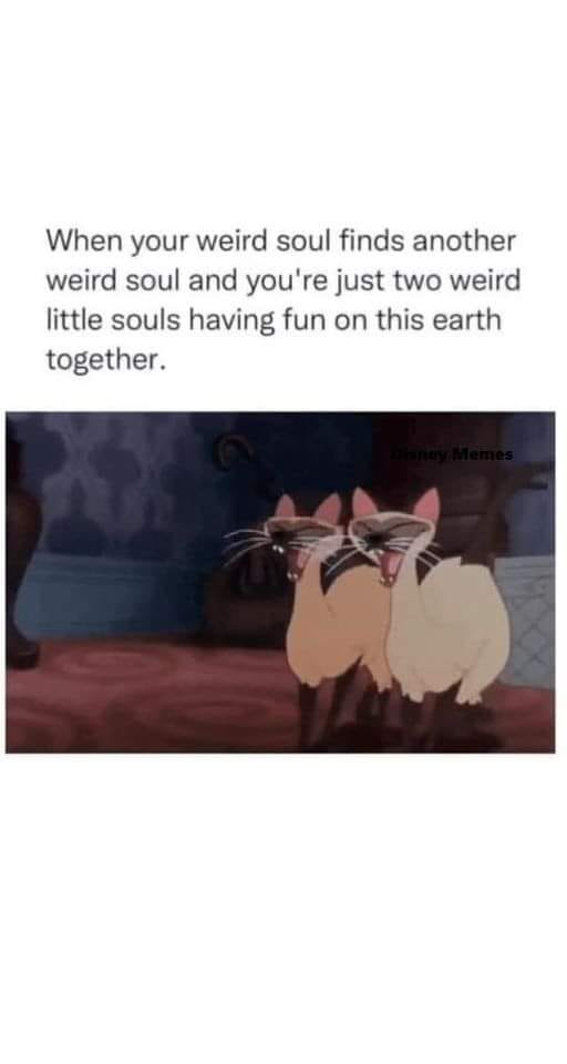 When your weird soul finds another and you're just two little souls having fun on this earth together. lemes