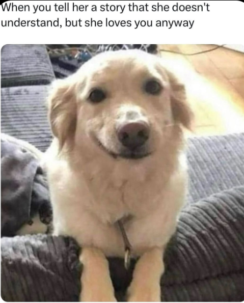 Meme by doge