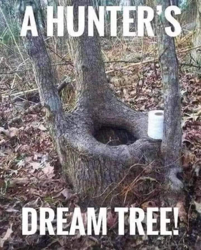 A HUNTER'S DREAM TREE!