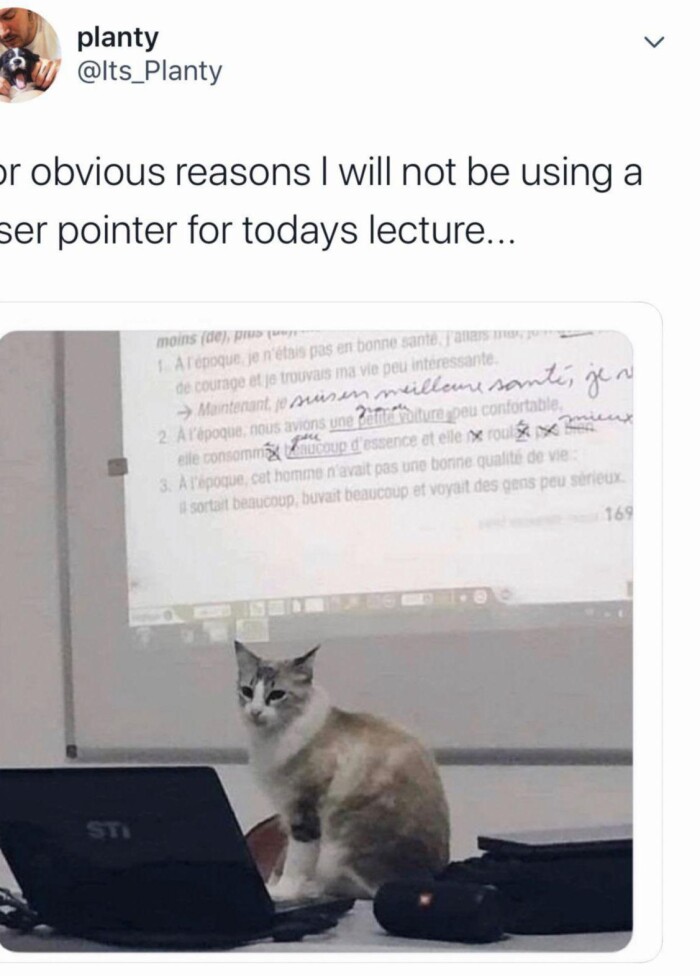 jr obvious reasons I will not be using a ser pointer for todays lecture.. moins