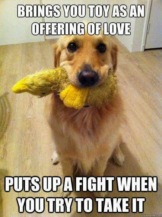 Meme by pupperdoggo